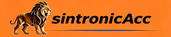 ShenZhen Sintronic Technology Company Limited